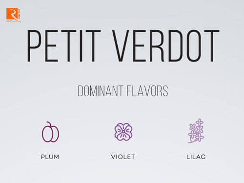 Những điều cần biết về rượu vang đỏ nho Petit Verdot.