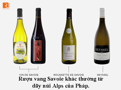 Rượu vang Savoie khác thường từ dãy núi Alps của Pháp.