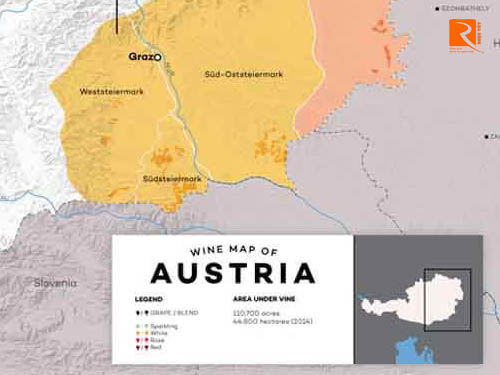 Thưởng thức rượu vang Áo theo cách của bạn.