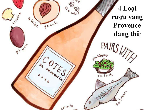 4 Loại rượu vang Provence đáng để thử trong năm 2019.