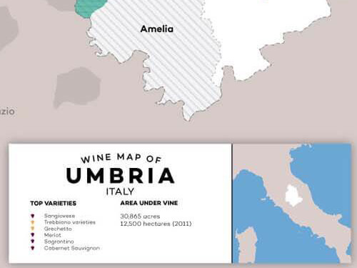 Những điều cơ bản về rượu vang Umbrian.