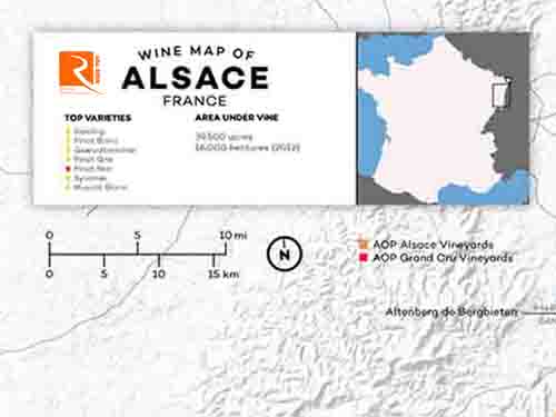 Khám phá vùng rượu vang Alsace nổi tiếng.