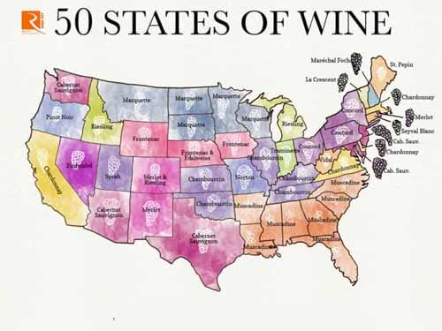 50 Tiểu bang làm nên rượu vang nước Mỹ phổ biến.