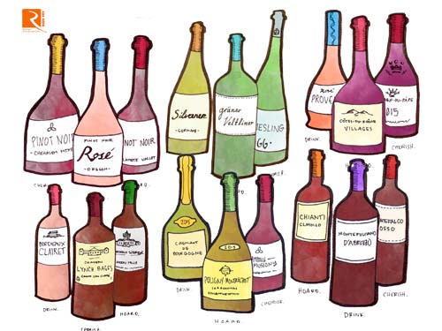 Những dòng rượu vang năm 2015 đáng để tìm kiếm.