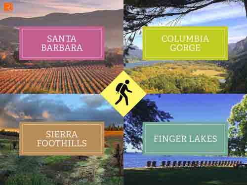4 Vùng đất trồng rượu vang của Mỹ mà bạn có thể khám phá.