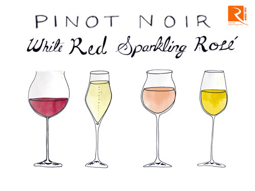 Nho Pinot Noir có thể làm được cả 4 loại rượu vang như thế nào?