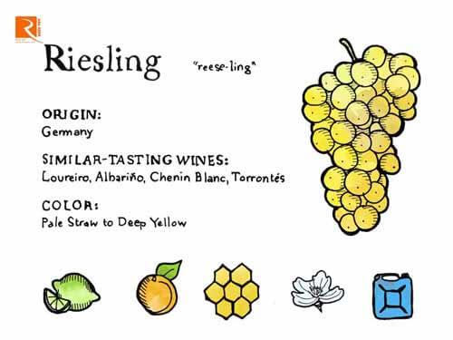 Phong cách rượu vang Riesling khô như thế nào?