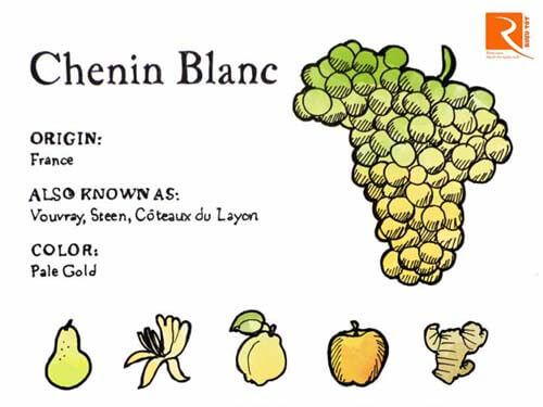 Những điều cần biết về giống nho Chenin Blanc.