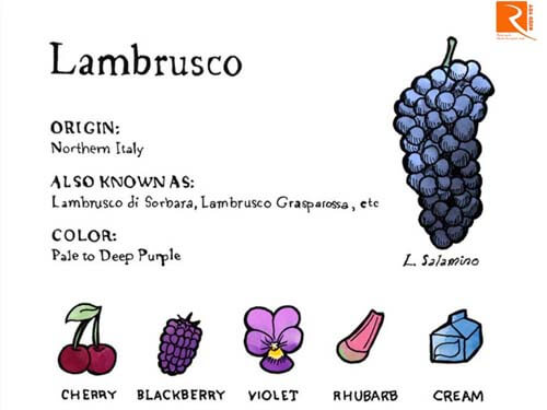 Rượu vang Lambrusco có đáng để bạn thưởng thức không?