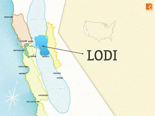 Khám phá vùng làm rượu vang Lodi.