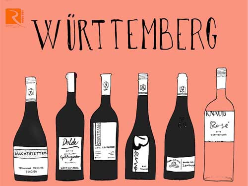 Wurttemberg: Vùng rượu vang đỏ Đức phát triển tốt nhất.