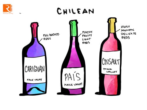 7 Loại rượu vang sẽ thay đồi nhận thức của bạn từ đất nước Chile.