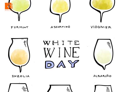 4 Loại rượu vang trắng độc đáo nhưng không quá nổi tiếng phải thử.