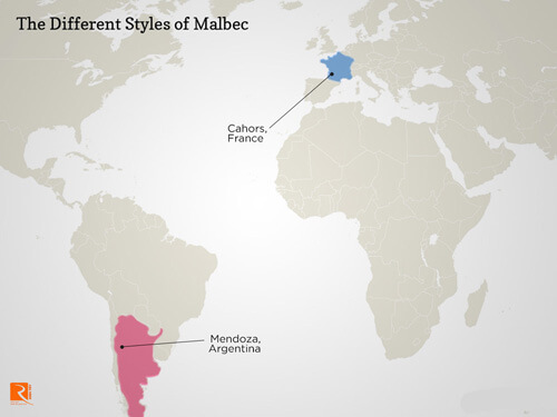 Sự khác biệt của nho Malbec ở Argentina so với ở Pháp.