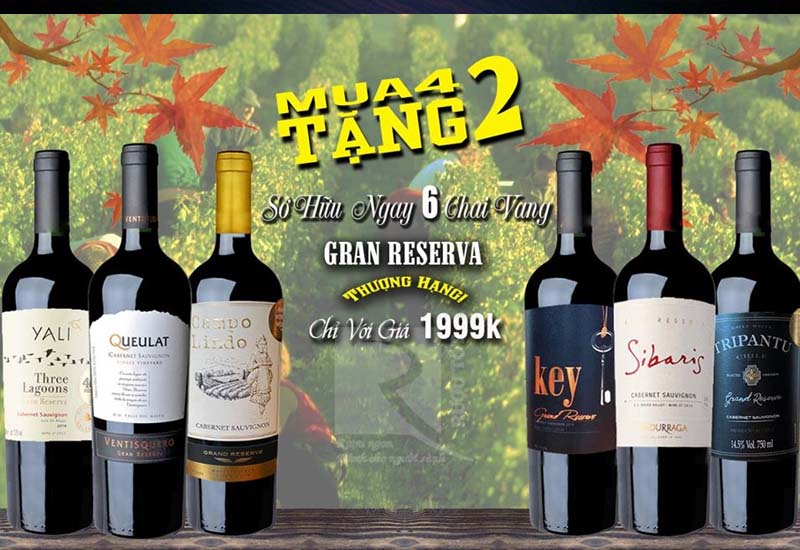 Rượu vang Gran Reserva Chile Mua 4 tặng 2