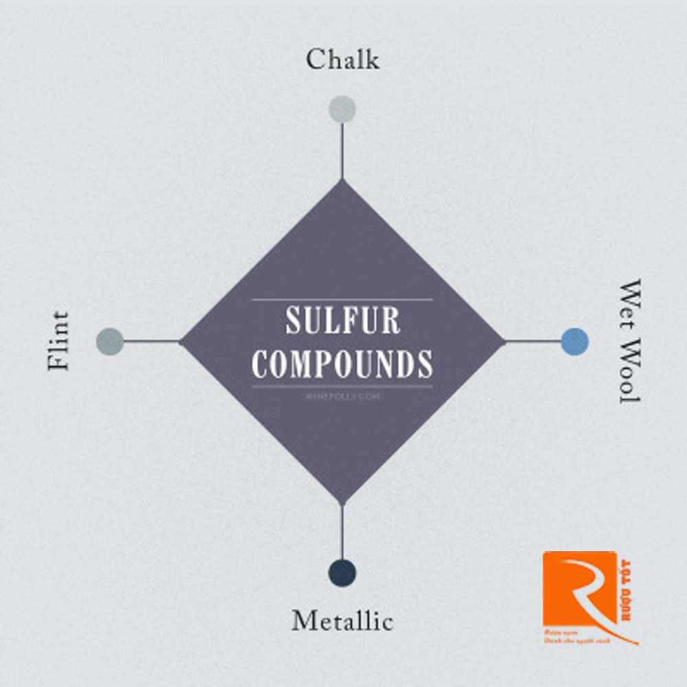 Sulfur Compounds: hợp chất lưu huỳnh