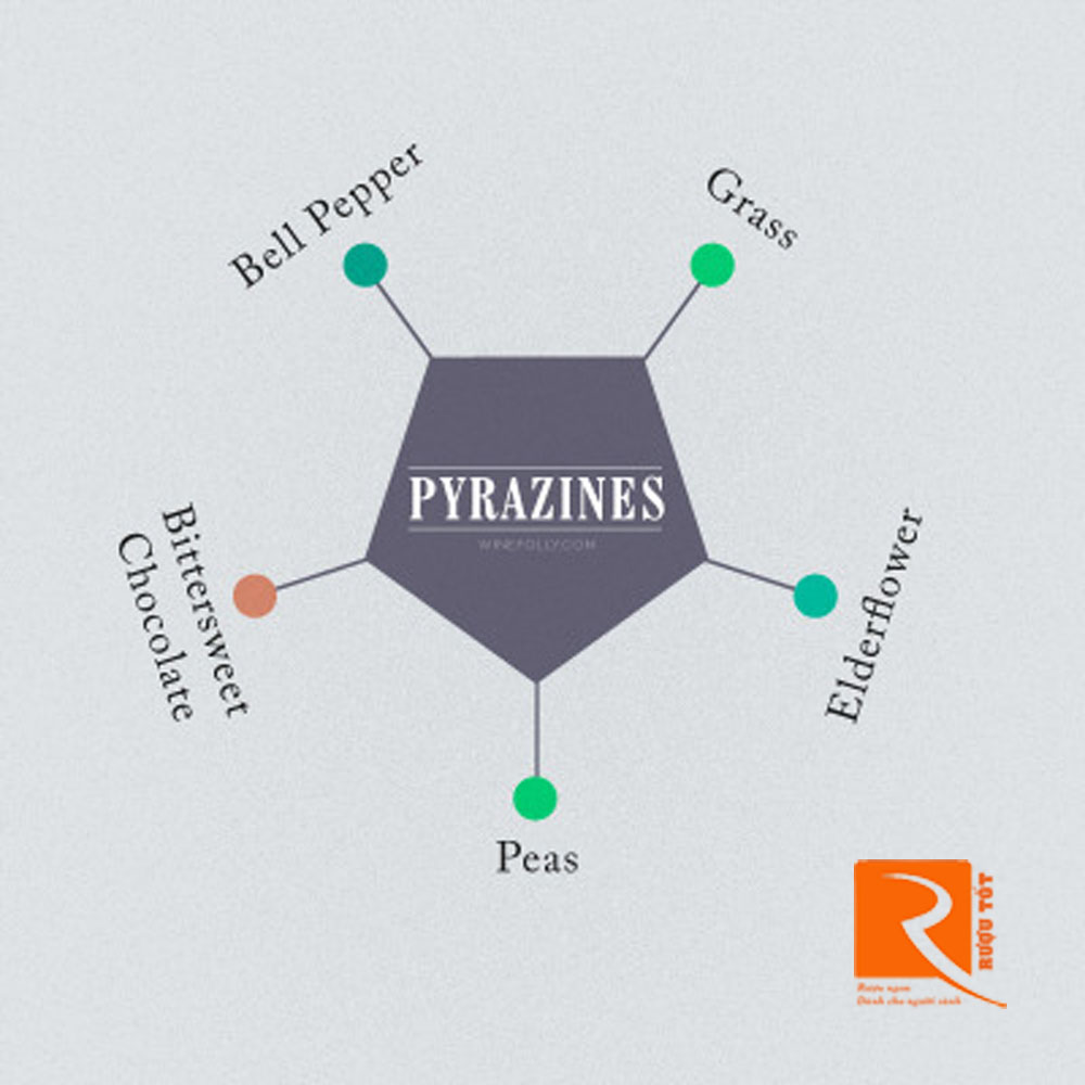 Pyrazin: Hương thơm của thảo mộc.