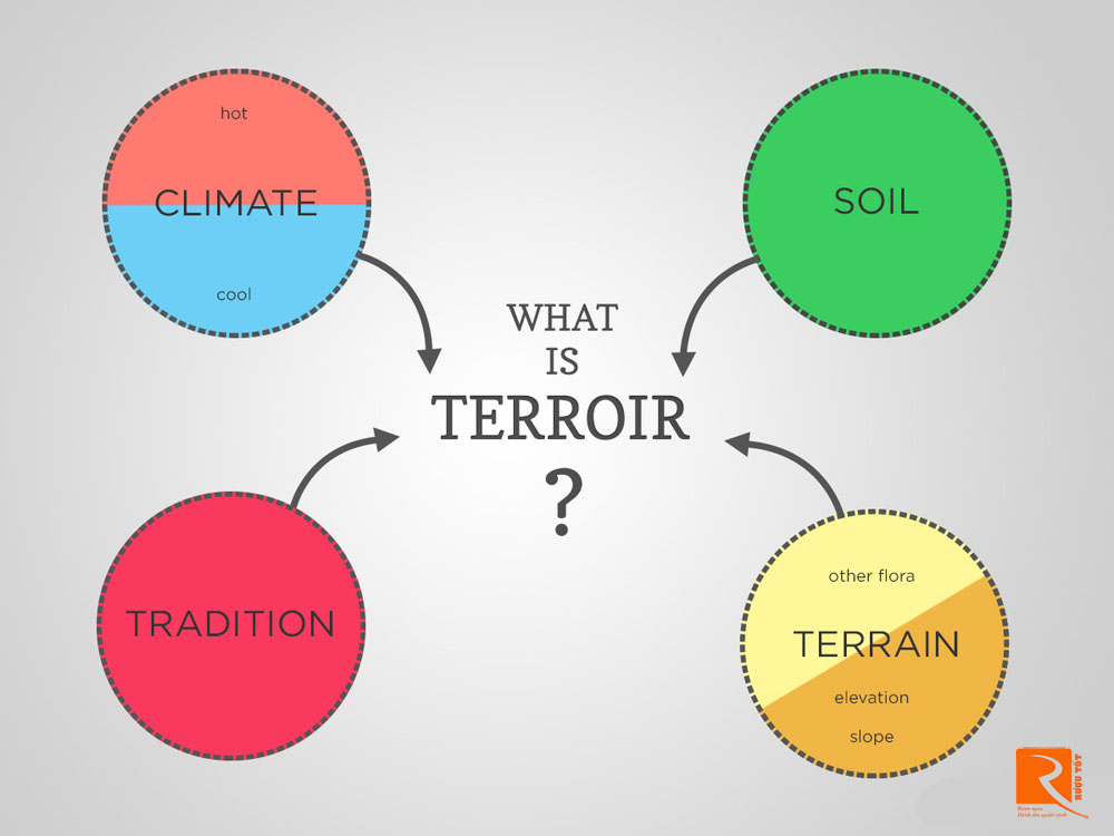 Terroir là gì?