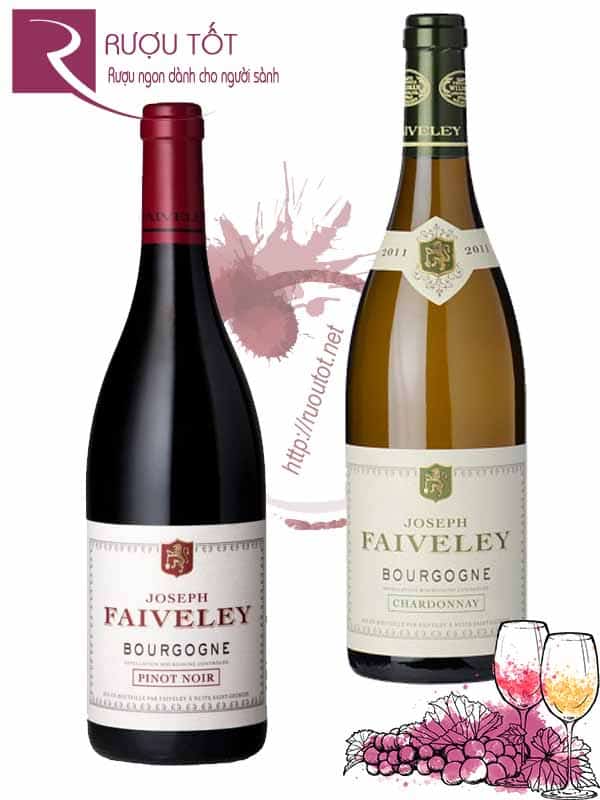 Vang Pháp Faiveley Bourgogne (Red White) Thượng hạng
