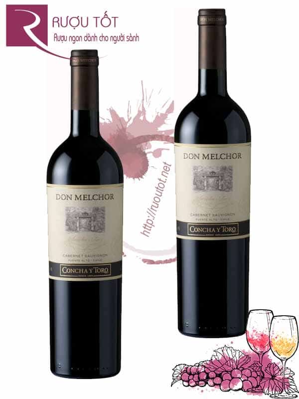 Rượu vang Chile Don Melchor 2009 & 2010