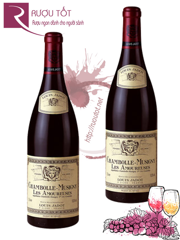 Vang Pháp Chambolle Musigny Les Amoureuses Louis Jadot Cao cấp