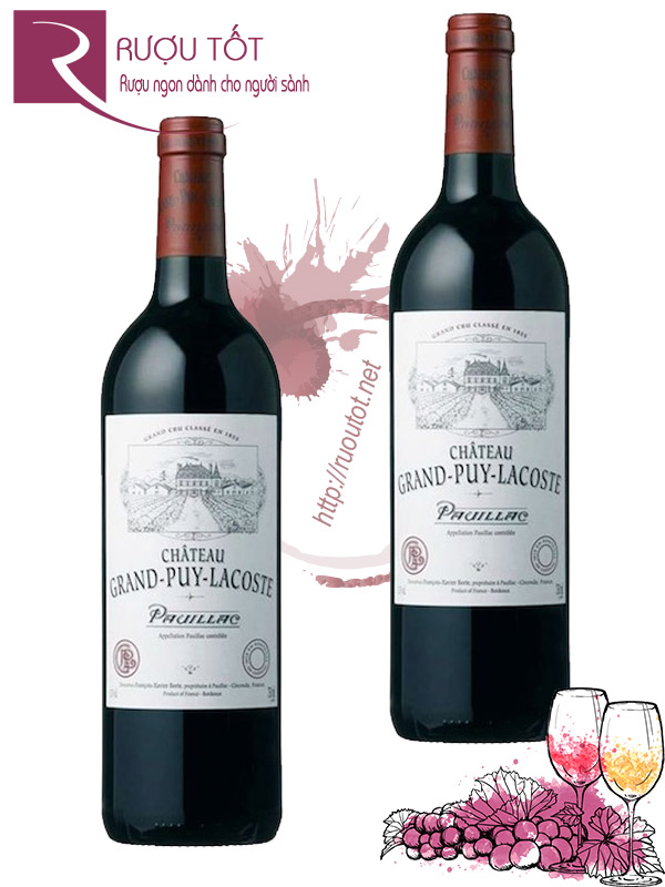 Vang Pháp Chateau Grand Puy Lacoste Pauillac 2008 Thượng hạng
