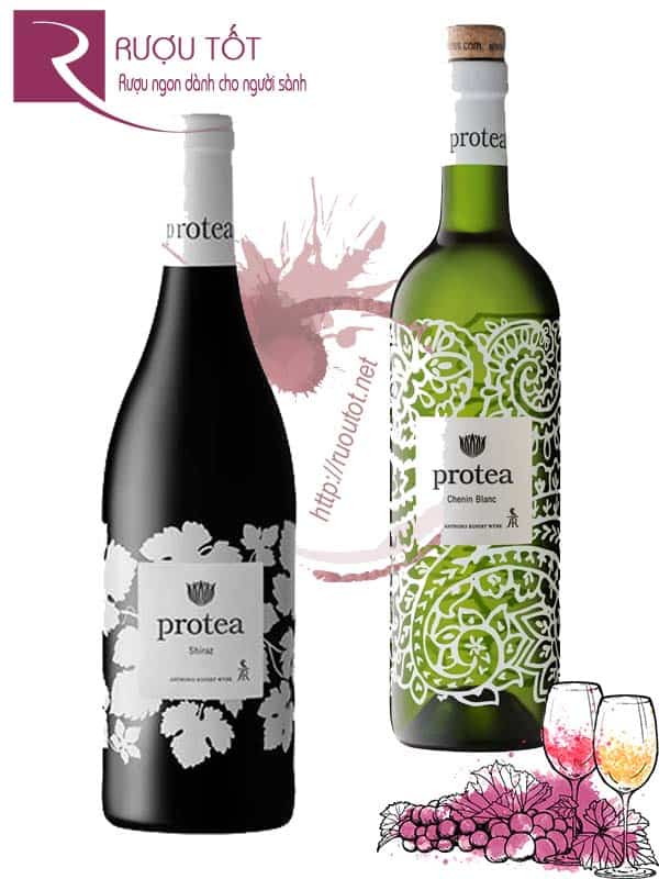 Rượu vang Protea Red – White Chiết khấu cao