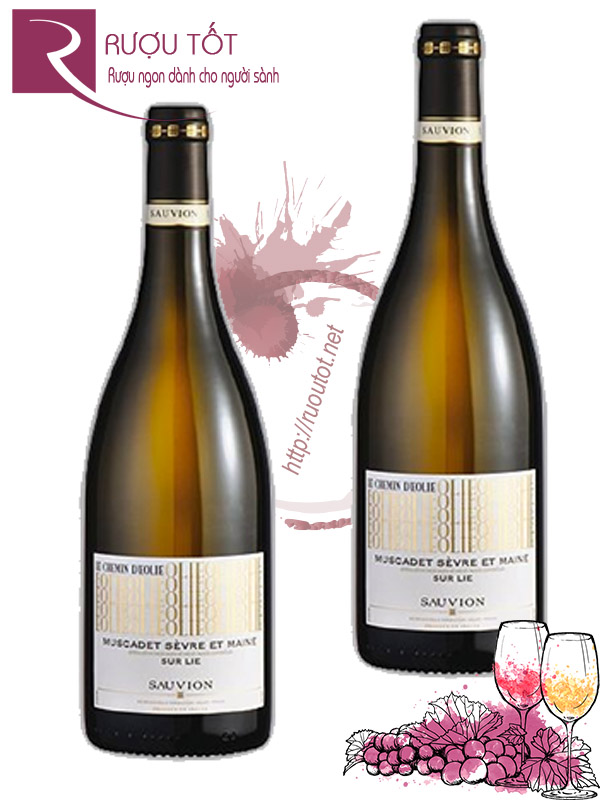 Vang Pháp Muscadet Le Chemin d'Eolie Sauvion Chiết khấu cao