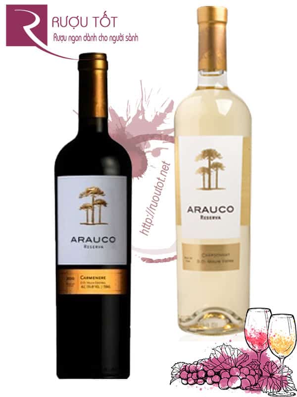Vang Chile Arauco Reserva Central Valley Red - White Cao cấp