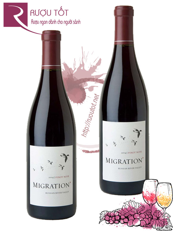 Rượu vang Migration Pinot Noir Russian River Valley Cao cấp