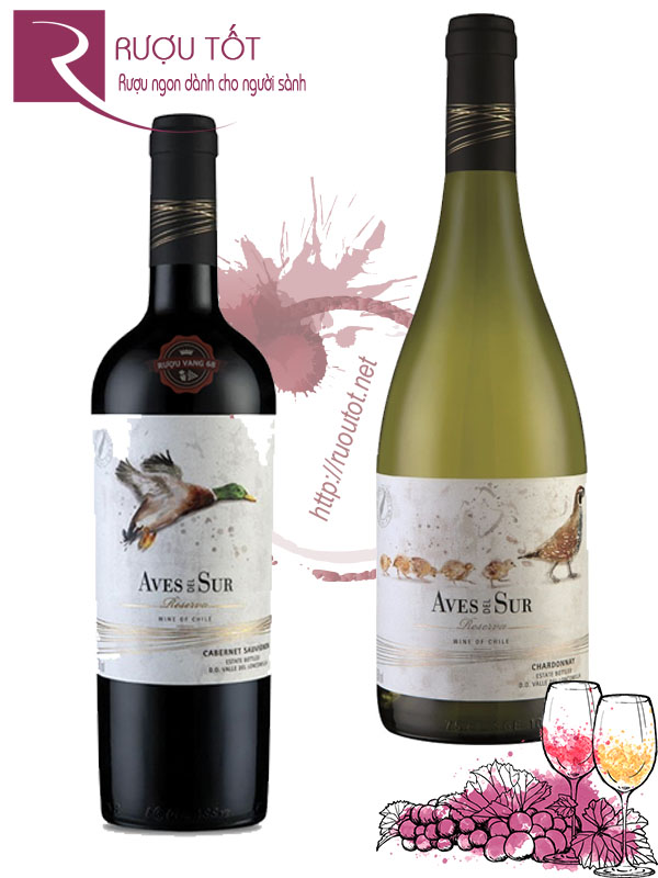 Vang Chile Aves del Sur Reserva (Red - White)