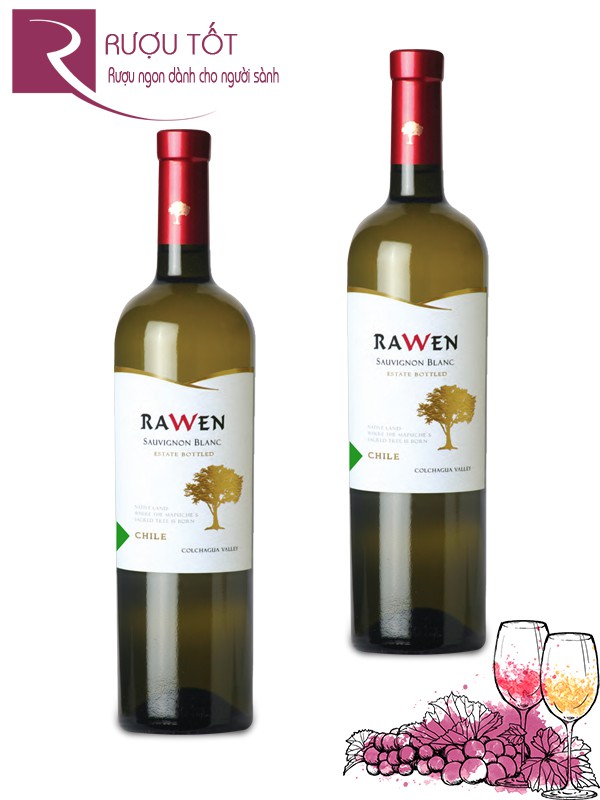 Vang Chile Rawen Varietal Sauvignon Blanc Thượng hạng