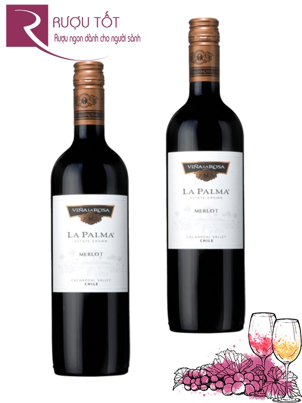 Rượu Vang La Palma Merlot Thượng hạng