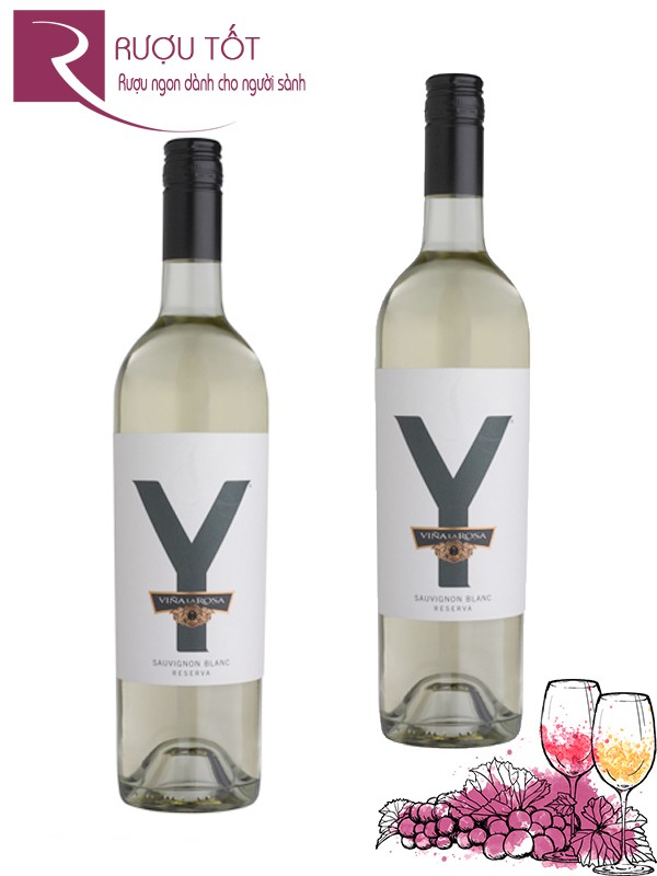Rượu Vang Y Reserva Sauvignon Blanc Thượng hạng
