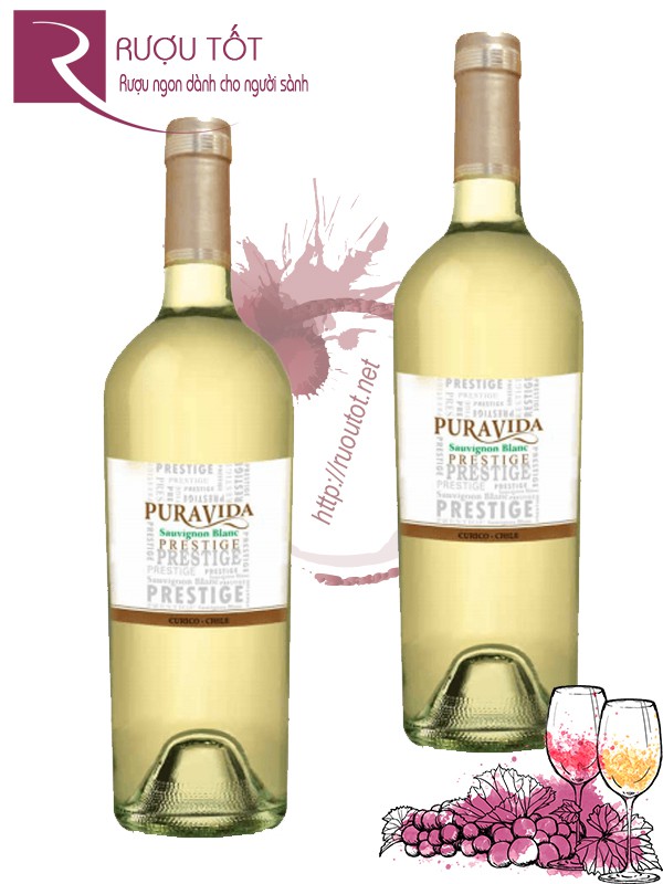 Vang Chile SYN Puravida Sauvignon Blanc