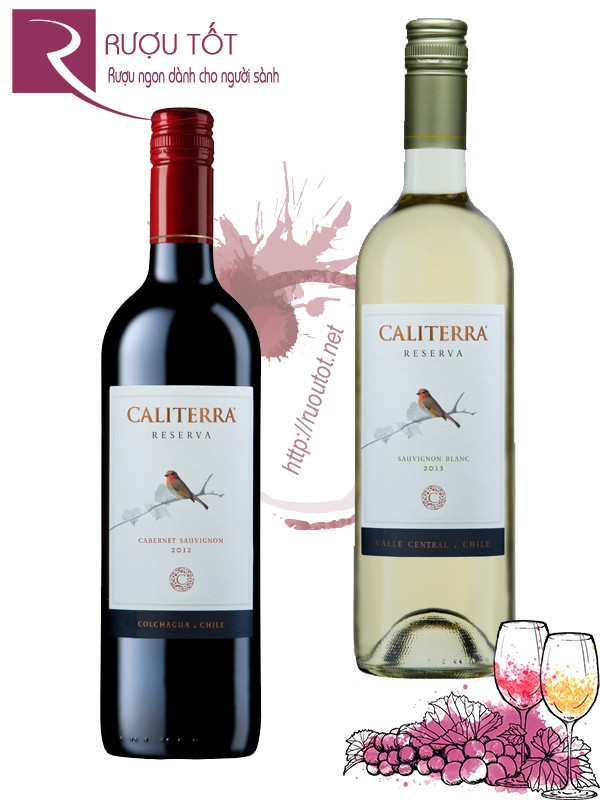 Vang Chile Caliterra Reserva (red - white) Thượng hạng