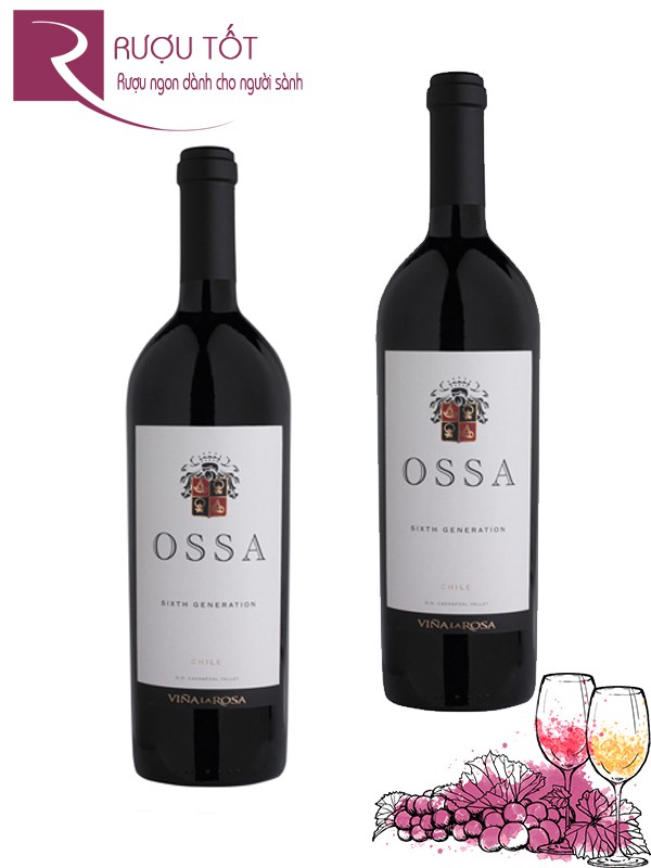 Vang Chile Ossa Icon Wine 2007