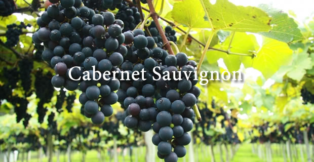 1467976226-6962-Cabernet-Sauvignon