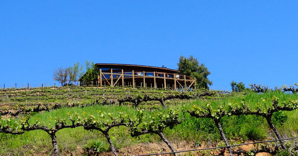 1467977691-6343-o-Wine-Tours-Colchagua-Chile