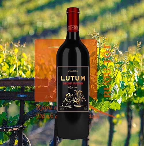 Rượu vang Chile Lutum Reserva Cabernet Sauvignon