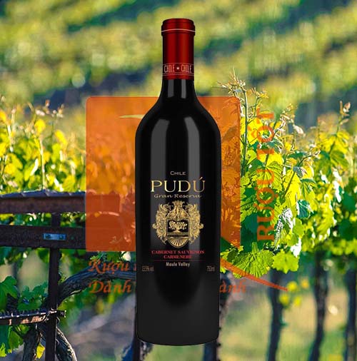 Rượu vang Chile Pudu Cabernet Sauvignon