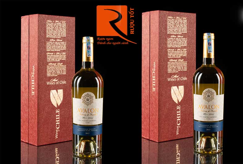 Vang Chile Avalon Reserva de Familia White Blend