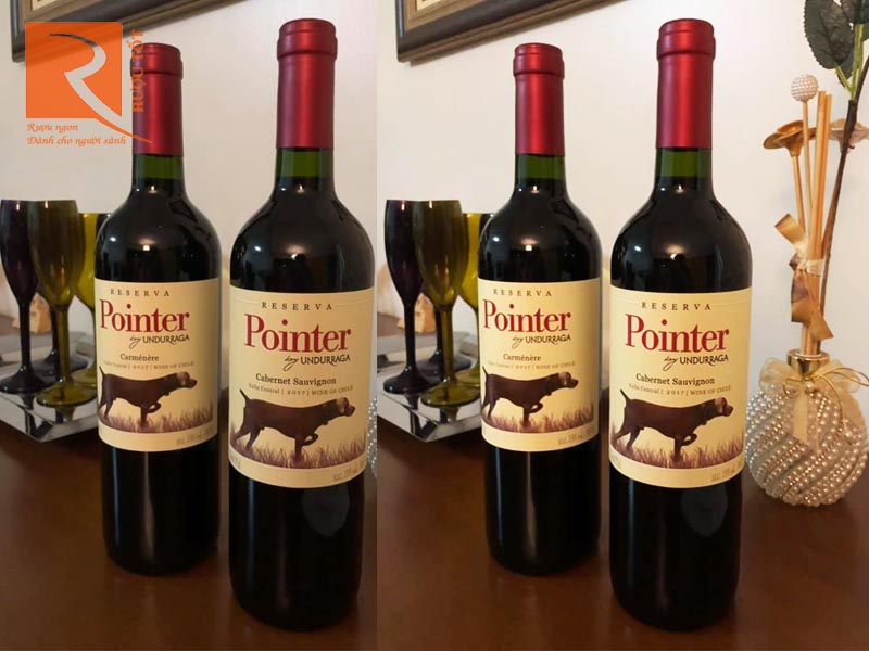 Vang đỏ Pointer Reserva Carbernet Sauvignon