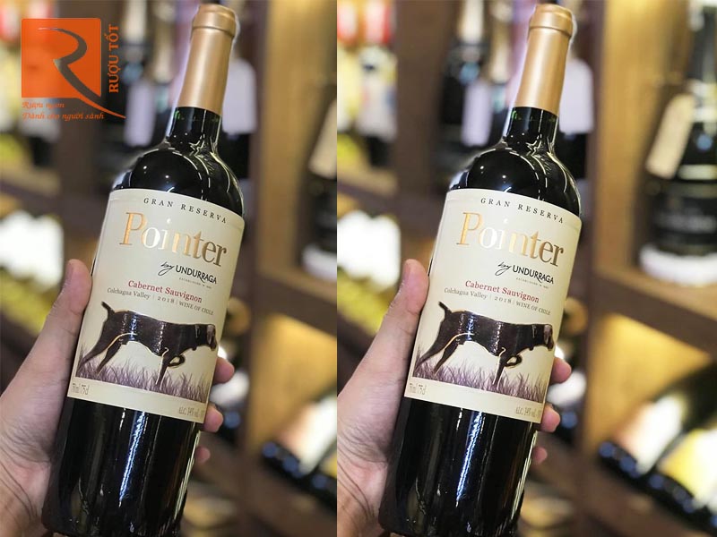 Rượu vang Pointer Undurraga Gran Reserva Cabernet Sauvignon