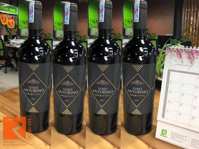 Rượu vang đỏ Vino Antorino Primitivo