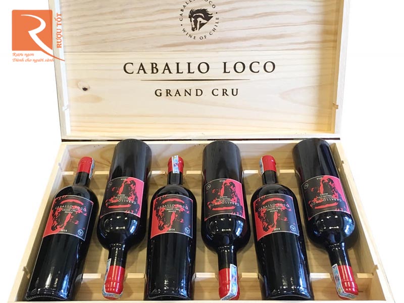 Rượu vang Caballo Loco Grand Cru Maipo Andes