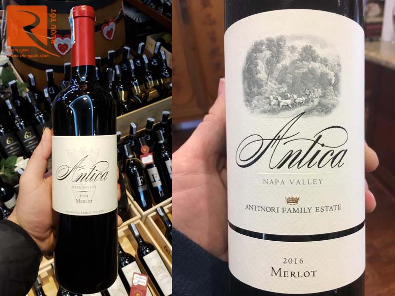 Rượu vang Antica Antinori Merlot Napa Valley Cao cấp