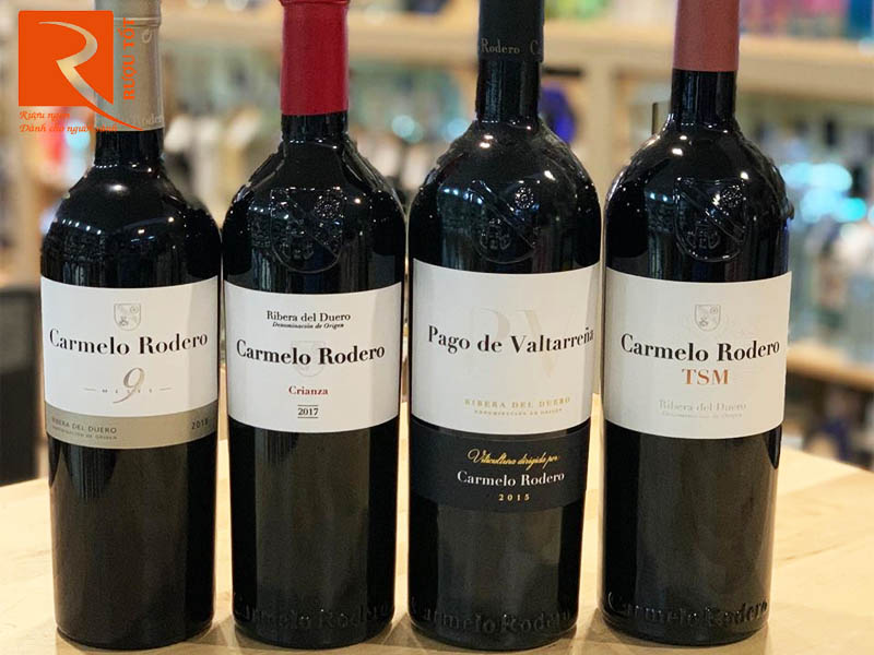 Vang đỏ Tây Ban Nha Carmelo Rodero TSM Ribera del Duero