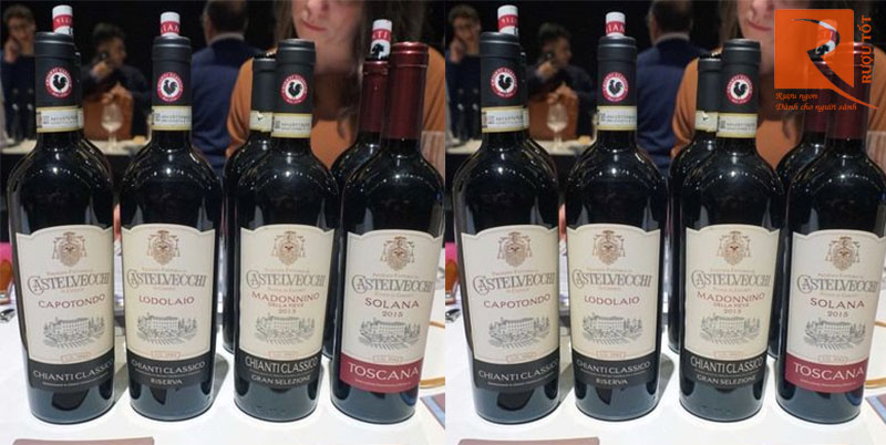 Rượu Vang Castelvecchi Madonnino Chianti Classico Gran Selezione