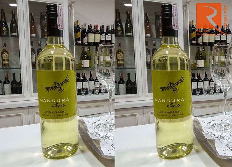 Rượu Vang Mancura Etnia Sauvignon Blanc